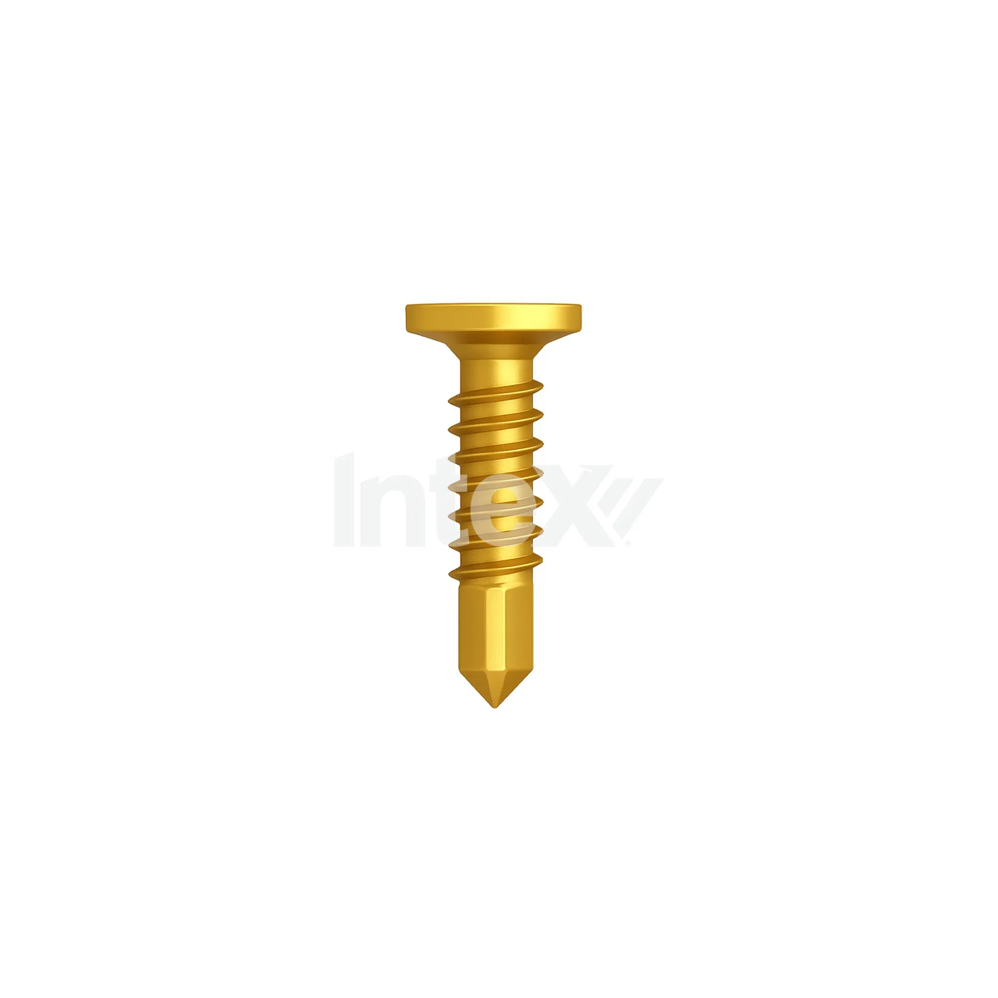 Intex Micro Flat Head Self Drill