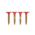 Intex Collated Bugle Head NP Fine Thread (1000pcs/box)